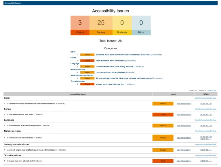 Screenshot showing found accessibility issues ranging from critical to serious to moderate to minor.