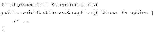 JUnit 4 test case throw an exception code snippet