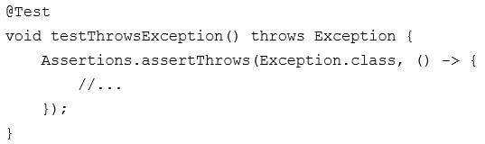 JUnit 5 test case throw an exception code snippet